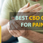 best cbd oil for pain