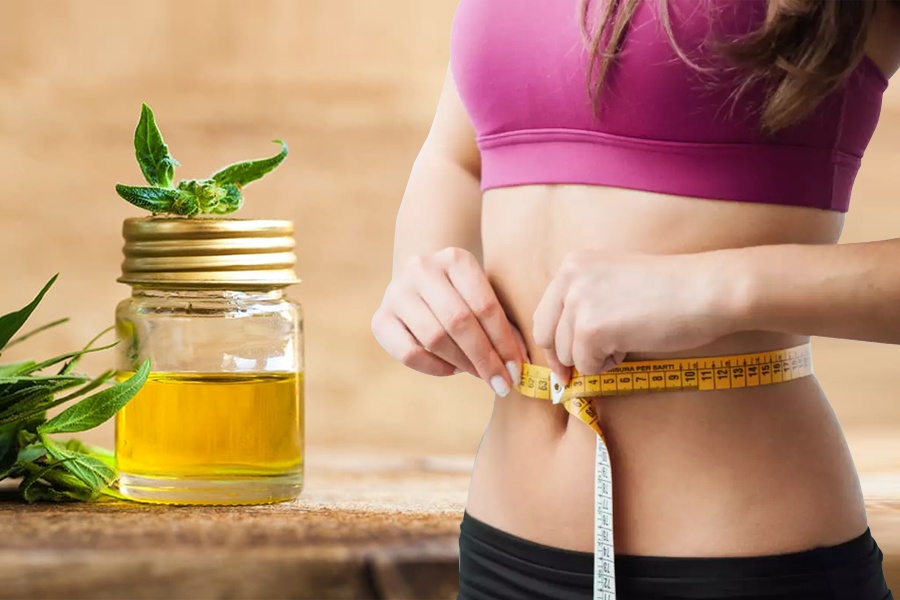 Best CBD Oil for Weight Loss
