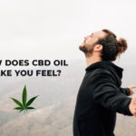 How does CBD Oil Make you Feel