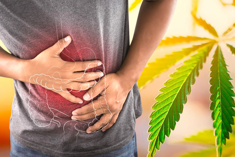Can CBD Oil Help with IBS