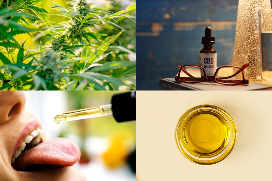 Differences Between CBD Oil and Tincture